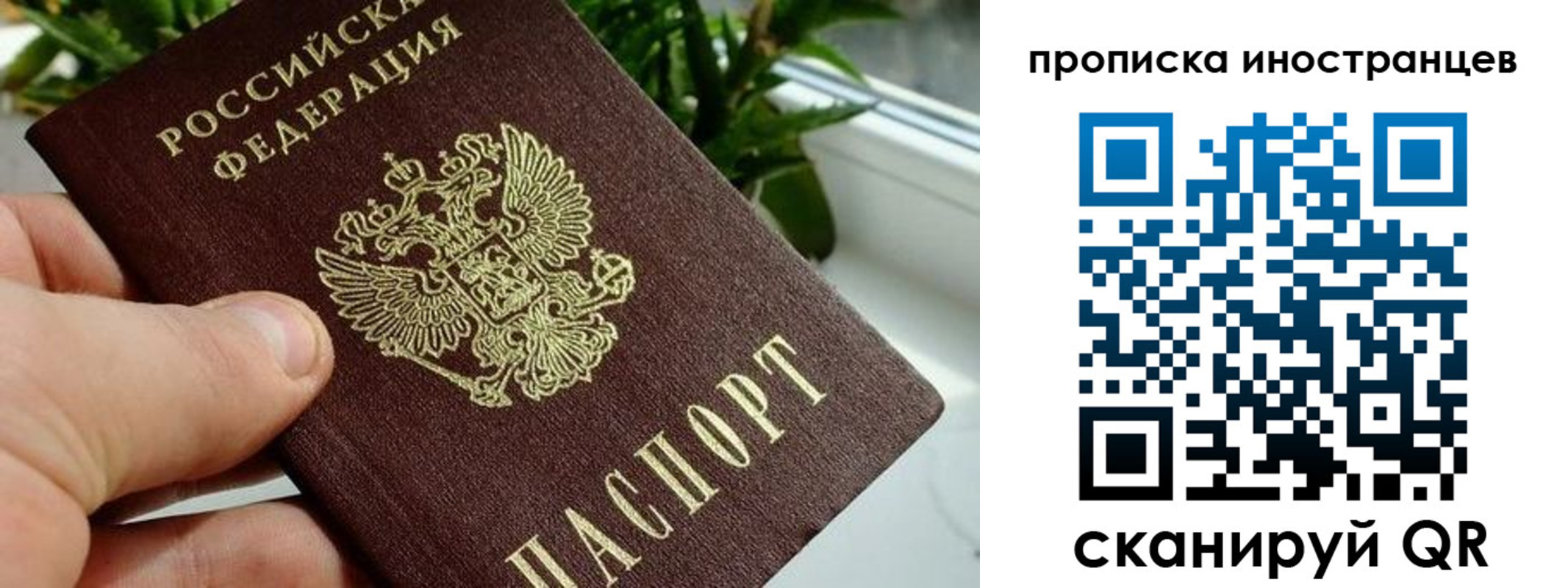 временная регистрация в Плавске